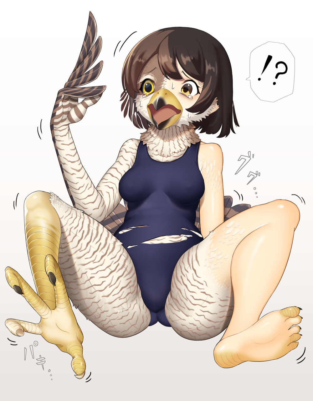 2022 ?! airotf avian barefoot beak bird black_hair bodily_fluids breasts brown_hair camel_toe clothing falcon falconid feathered_wings feathers feet female hair hi_res human japanese_text mammal nipple_outline one-piece_swimsuit open_mouth simple_background sitting solo species_transformation spread_legs spreading striped_body stripes surprise sweat swimwear talons tears text torn_clothing transformation white_background wings yellow_eyes