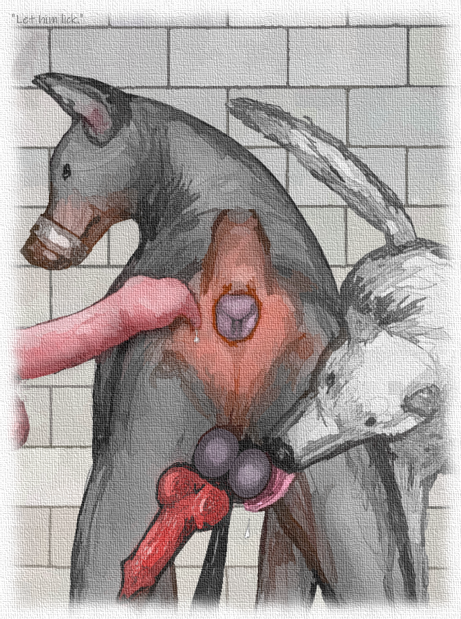 2022 anatomically_correct anatomically_correct_anus anatomically_correct_genitalia anatomically_correct_penis animal_genitalia animal_penis anthro anthro_on_feral anus ball_lick balls bestiality bodily_fluids brown_body brown_fur butt canid canine canine_penis canis darkmare digital_media_(artwork) dobermann domestic_dog erection faceless_anthro faceless_character faceless_male feral feral_on_feral fur genitals group knot licking male male/male mammal muzzle_(object) muzzled oral penis perineum pinscher rear_view saliva sex tongue tongue_out trio white_body white_fur