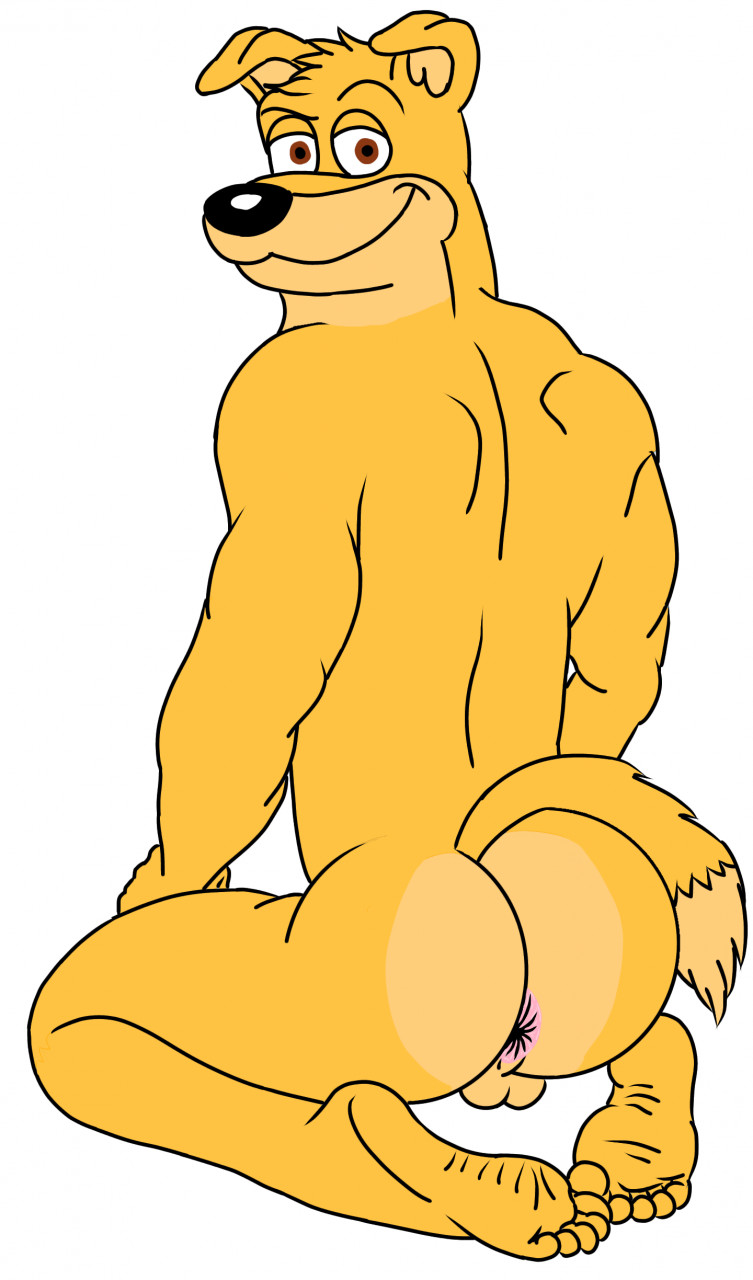 anthro anus balls barefoot bird_dog butt canid canine canis domestic_dog feet fur genitals golden_retriever hi_res hunter_(road_rovers) hunting_dog looking_at_viewer looking_back male mammal muscular muscular_anthro muscular_male nightfox90 nude retriever road_rovers smile smirk solo toes wrinkled_feet yellow_body yellow_fur