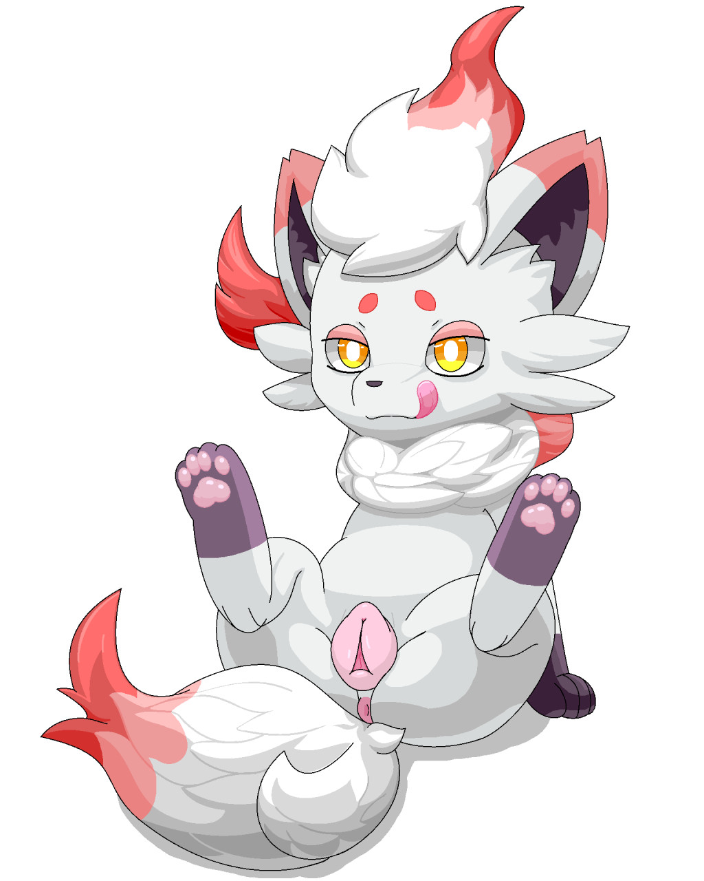 animal_genitalia animal_pussy anus canine_pussy female feral genitals hi_res hisuian_form hisuian_zorua lewdkitten069 nintendo pink_pussy pok&eacute;mon pok&eacute;mon_(species) pussy regional_form_(pok&eacute;mon) simple_background solo spread_legs spreading tongue tongue_out video_games white_background white_body yellow_eyes