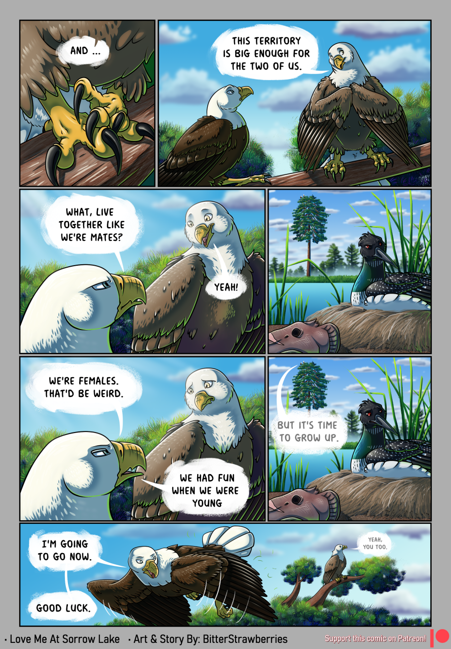 accipitrid accipitriform avian bald_eagle bird bitterstrawberries branch comic decapitation detailed_background digital_media_(artwork) eagle english_text feathered_wings feathers female feral flying frown group hi_res lake laurel_(bitterstrawberries) loon nest open_mouth plant rejection scowl sea_eagle severed_head smile text tree trio water wings zandra_(bitterstrawberries)