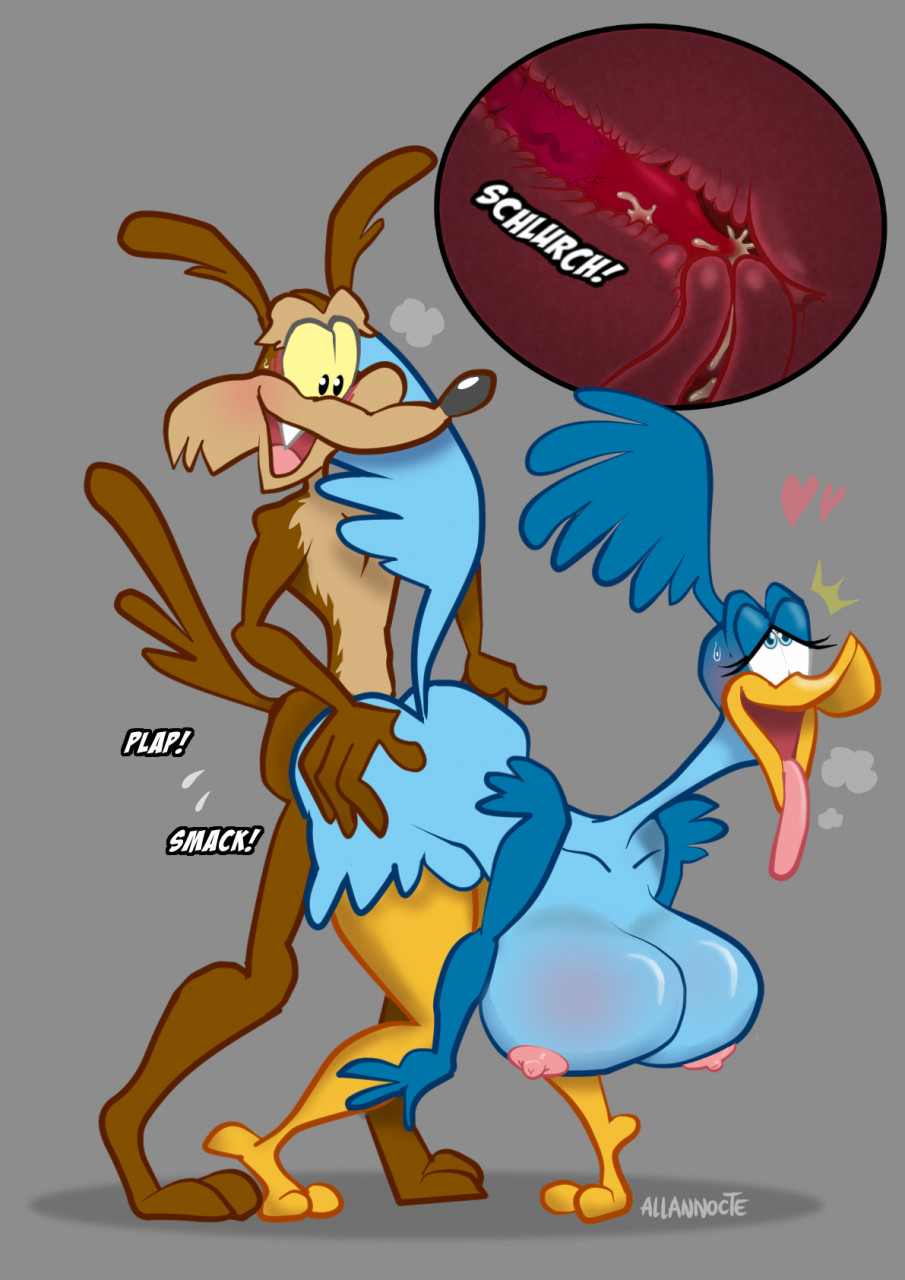 allannocte anthro avian bird bodily_fluids breasts canid canine canis coyote doggystyle duo female from_behind_position hi_res looney_tunes male male/female mammal penetration penile penile_penetration road_runner_(looney_tunes) sex sweat sweatdrop tongue tongue_out warner_brothers wile_e._coyote