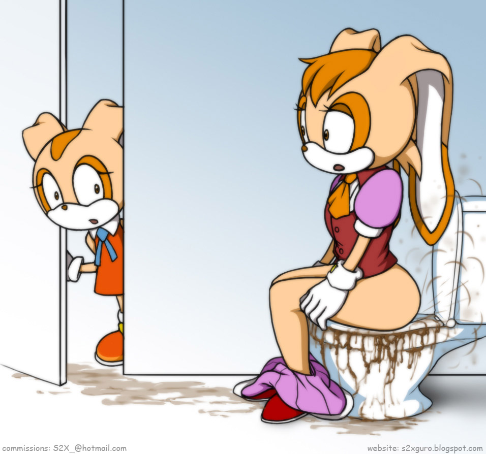 anthro bathroom big_butt butt caught cream_the_rabbit diarrhea duo embarrassed fart fart_cloud fart_fetish feces female female/female overflow overflowing_toilet public_restroom restroom_stall s2x scat sega sitting skirt_down sonic_the_hedgehog_(series) toilet toilet_bowl toilet_seat toilet_use vanilla_the_rabbit wide_hips