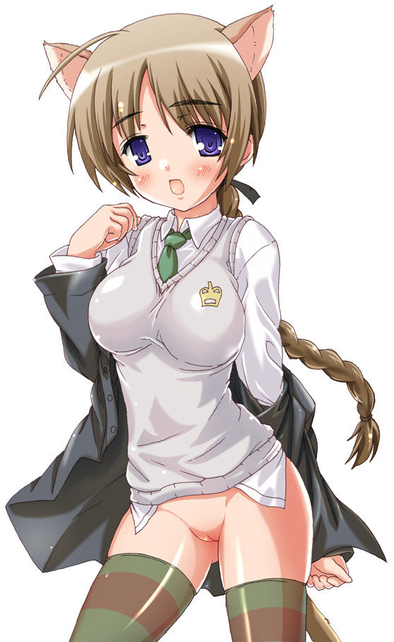 animal_ears blue_eyes bottomless braid brown_hair cat_ears long_hair lynette_bishop multicolored multicolored_clothes multicolored_legwear no_panties pussy single_braid solo strike_witches striped striped_legwear testa thighhighs world_witches_series
