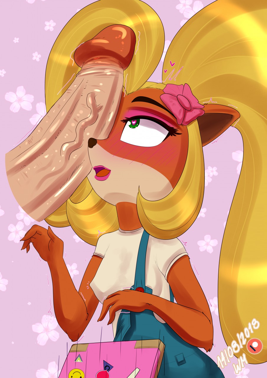 &lt;3 &lt;3_eyes activision anthro aroused blush coco_bandicoot crash_bandicoot_(series) duo female fur genitals happy hi_res human human_on_anthro interspecies male male/female mammal penis video_games wolfmask