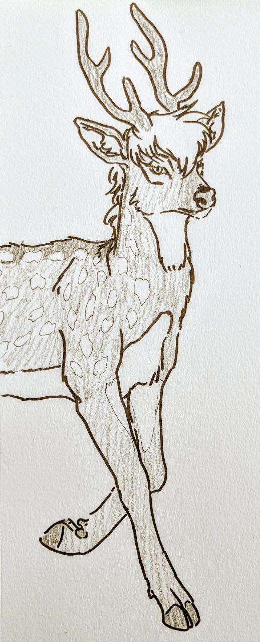 antlers cervid cervine chital deer-spangle feral hi_res horn mammal rienkarrot traditional_media_(artwork)