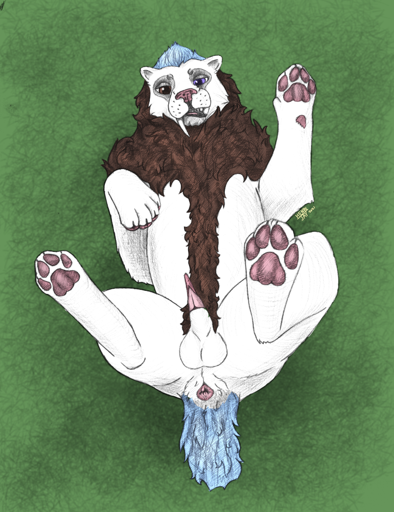 anatomically_correct anatomically_correct_genitalia anatomically_correct_penis animal_genitalia animal_penis anus balls body_hair erection felid feline_penis feral genitals happy_trail henry_jay henry_jay_sabercat lying machairodontine male mammal mane nub_tail on_back pawpads paws penis presenting presenting_anus presenting_balls presenting_penis raised_paw smilodon smilodon_fatalis solo white_body