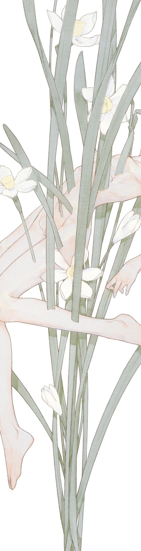 1girl breasts chinese_commentary cleft_of_venus commentary_request completely_nude feet flower head_out_of_frame highres impaled nude original simple_background small_breasts solo toes white_background white_flower yuanyuan_di_fushang
