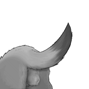 alpha_channel animated balls butt canid canine fur genitals grey_body grey_fur low_res male mammal multicolored_body multicolored_fur resachii sachii_(resachii) shaking_butt simple_background solo transparent_background two_tone_body two_tone_fur