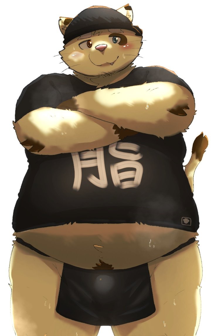 2024 anthro asian_clothing belly black_clothing black_fundoshi black_underwear bulge clothing domestic_cat east_asian_clothing felid feline felis fundoshi japanese_clothing kemono male mammal menmen_kesinn overweight overweight_male shirt simple_background solo topwear underwear