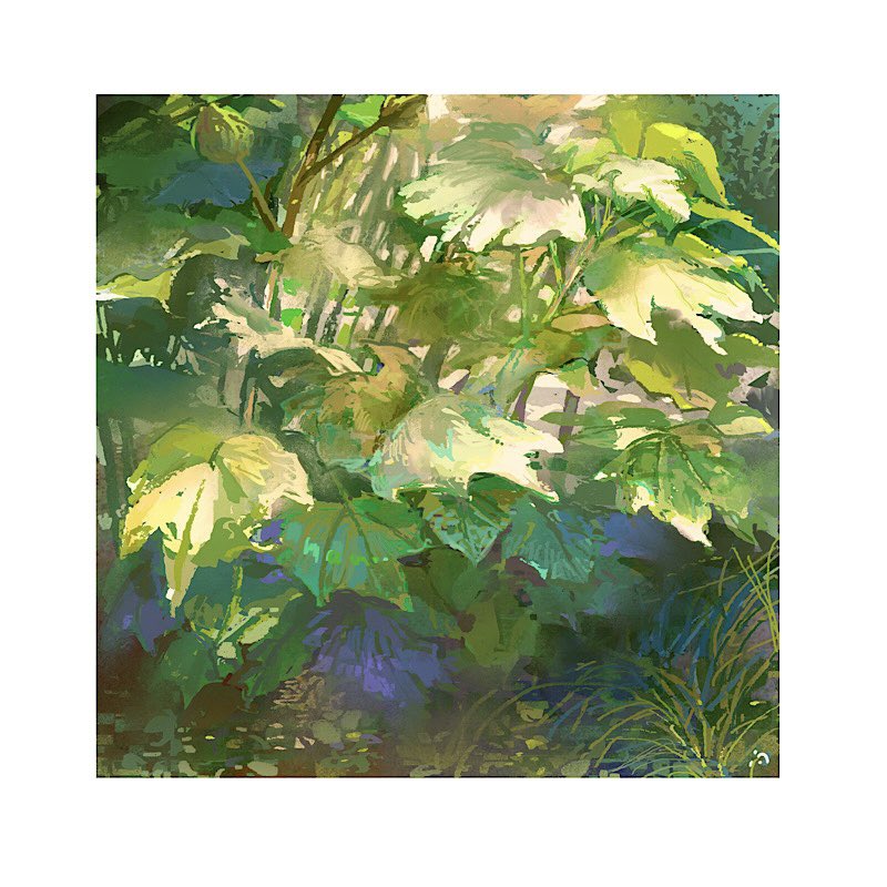 border dappled_sunlight day grass mimoth nature no_humans original painting_(medium) plant shadow still_life sunlight traditional_media weeds white_border