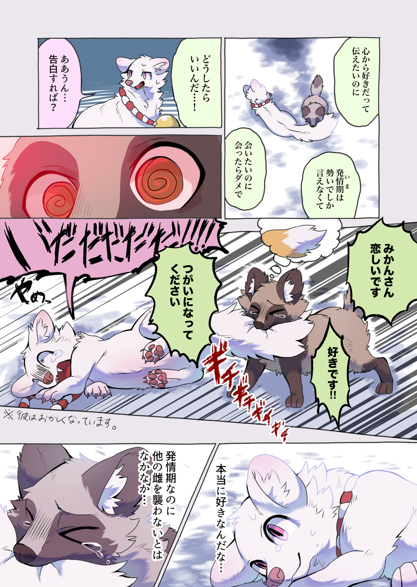 2023 ambiguous_gender bell bell_collar bite black_nose bodily_fluids brown_body brown_ears brown_eyes brown_fur canid canine cheek_tuft collar comic dialogue digital_media_(artwork) duo facial_tuft feral fur gloves_(marking) hakuri_(kurumilky6) hi_res inner_ear_fluff japanese_text kurumilky6 mammal marimo_(kurumilky6) markings open_mouth prick_ears quadruped raccoon_dog red_eyes snow speech_bubble tail tail_bite tail_in_mouth tan_body tan_fur tanuki tears text translation_request tuft white_body white_fur white_inner_ear_fluff