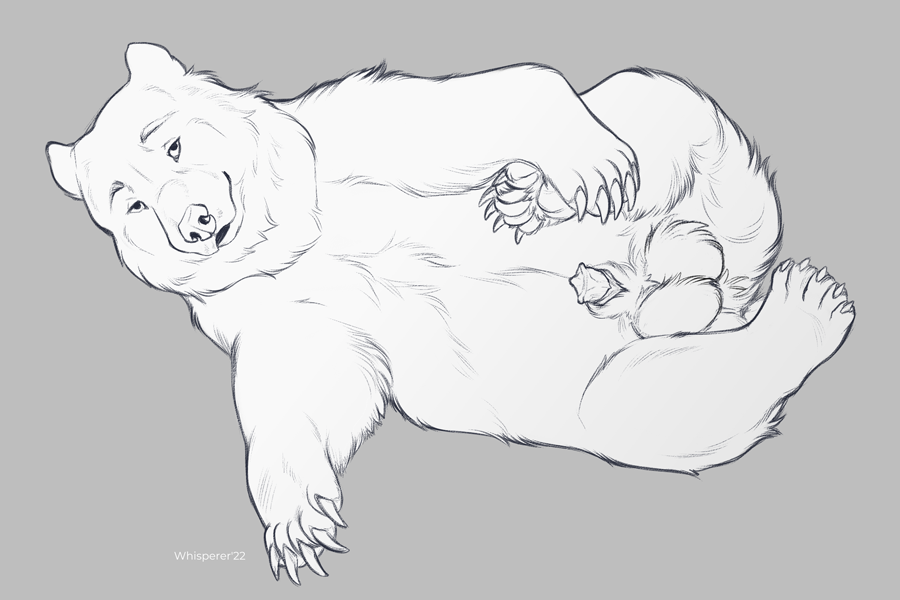 anatomically_correct animal_genitalia animal_penis balls big_balls brown_bear claws feral genitals grizzly_bear hair holding_paws kuruk_(character) lying male mammal mane mane_hair on_side pawpads paws penis penis_tip raised_leg sheath slightly_chubby solo tip_showing ursid ursine ursine_penis whisperer