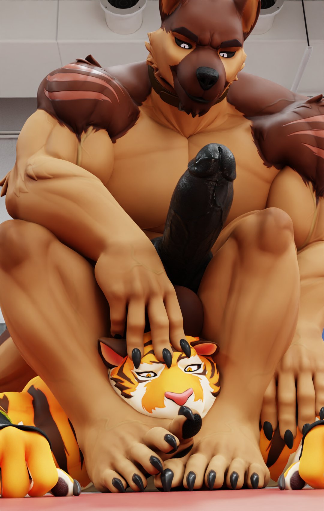 2022 3d_(artwork) anthro anthro_on_anthro balls biceps big_balls big_muscles big_penis canid canine canis claws clothing collar connivingrat dal_(dal_your_pal) digital_media_(artwork) domestic_dog duo erection eyebrows feet_in_face felid fingerless_gloves foot_fetish fur genitals german_shepherd gloves handwear herding_dog hi_res humanoid_genitalia humanoid_penis hybrid_genitalia hybrid_penis inside knot lying male male/male male_on_bottom male_on_top mammal muscular muscular_anthro muscular_male narrowed_eyes nude on_bottom on_front on_top pantherine pastoral_dog pecs penis scar sitting smile stead_(connivingrat) tiger tuft wrestling