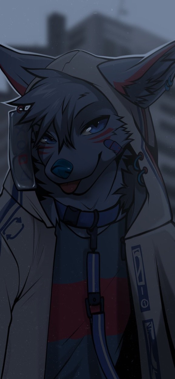 2022 angiewolf anthro band-aid bandage blep blurred_background building city clothing collar fur hi_res hoodie inner_ear_fluff leash lidded_eyes male mammal shirt solo tongue tongue_out topwear tuft