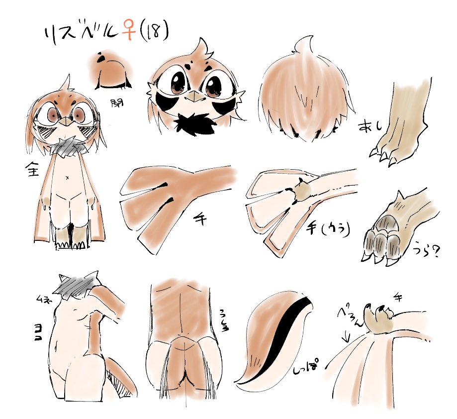 adult_(lore) anthro avian bird breasts brown_body brown_feathers brown_hair butt claws countershading doneru facial_markings feathers female hair head_markings japanese_text lisbelle_(doneru) looking_at_viewer markings model_sheet navel neck_tuft nude oscine passerine small_breasts solo sparrow talons text tuft winged_arms wings young