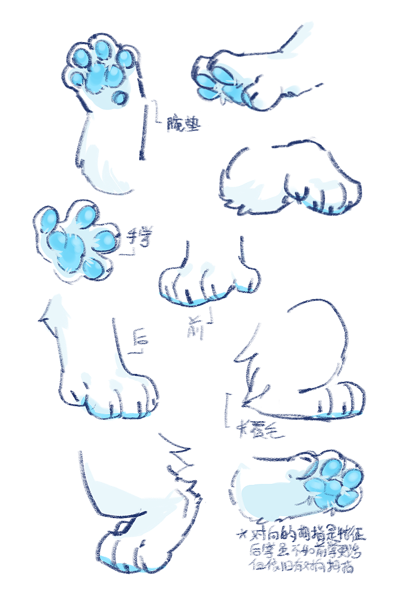 2:3 ambiguous_form ambiguous_gender asnnonaka blue_pawpads chinese_text faceless_ambiguous faceless_character fur glistening glistening_pawpads hi_res leg_tuft pawpads simple_background sketch_page solo text translation_request tuft white_background white_body white_fur
