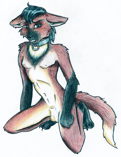 2007 anthro barefoot black_hair black_nose canid canine canis collar feet hair kneeling liselle male mammal nude simple_background solo traditional_media_(artwork) white_background wolf