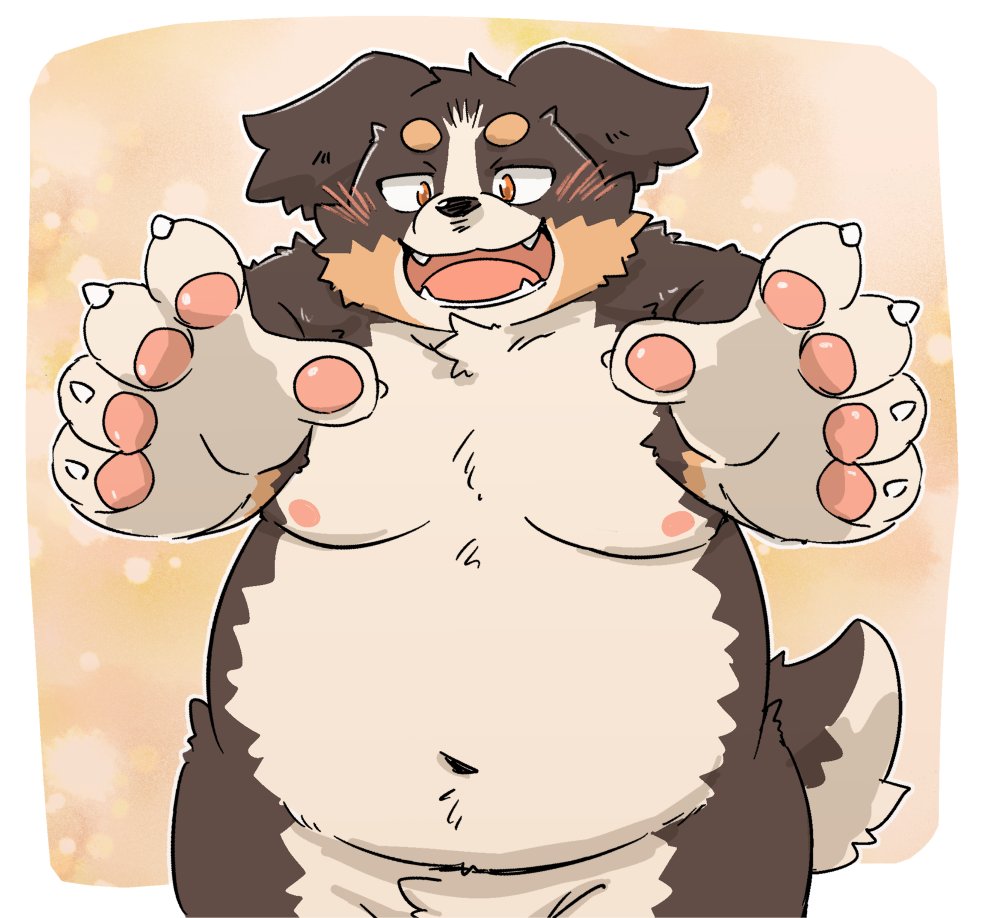2022 anthro belly bernese_mountain_dog black_body black_nose blush brown_body canid canine canis domestic_dog kemono kota&acute; male mammal molosser moobs mountain_dog navel nipples overweight overweight_male paws solo swiss_mountain_dog