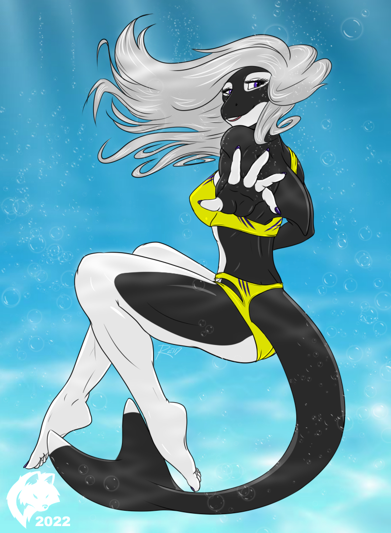 2022 5_fingers 5_toes anthro astrid_jensen barefoot bikini bikini_bottom bikini_top black_body black_skin breasts butt cetacean clothed clothing colored_nails delphinoid digital_media_(artwork) feet female fingernails fingers flat_colors floating ghostwolf hair long_hair looking_at_viewer mammal marine multicolored_body multicolored_skin nails oceanic_dolphin orca purple_nails signature silver_hair solo swimwear toenails toes toothed_whale two_tone_body two_tone_skin underwater water white_body white_skin yellow_bikini yellow_clothing yellow_swimwear