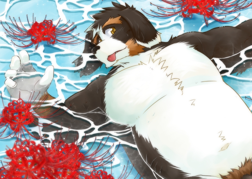 2022 anthro barely_visible_genitalia barely_visible_penis bernese_mountain_dog black_body black_fur brown_body brown_fur canid canine canis detailed_background domestic_dog fur genitals humanoid_hands inuryu kemono lying male mammal molosser mountain_dog penis pubes slightly_chubby solo swiss_mountain_dog tongue tongue_out water white_body white_fur