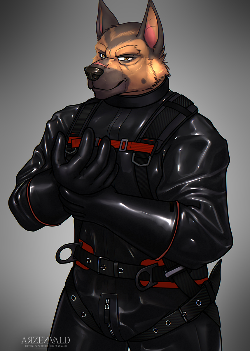 anthro archy- belt brown_body brown_fur canid canine canis clothing crotch_zipper domestic_dog fur german_shepherd gloves handwear harness herding_dog hi_res latex_gloves looking_at_viewer male mammal pastoral_dog rubber rubber_clothing rubber_suit smile smirk solo