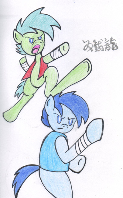 crossover double_dragon duo equid equine feral fighting_pose friendship_is_magic hasbro horse male mammal martial_arts my_little_pony pony pose quadruped reddragonkan text traditional_media_(artwork) video_games