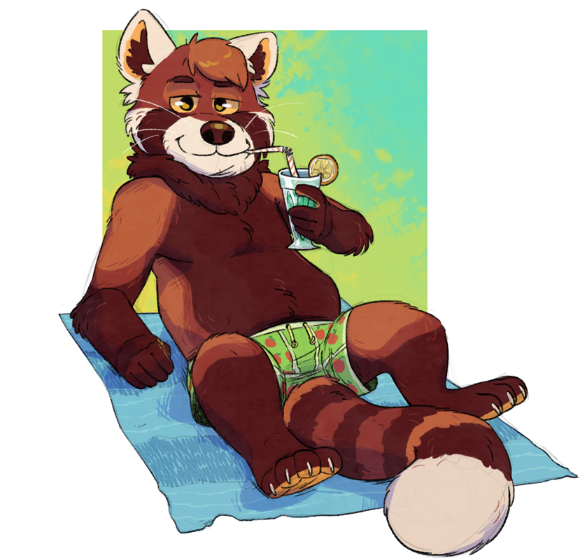 2022 ailurid anthro belly bottomwear brown_body clothing drinking guaxraccoon humanoid_hands male mammal red_panda shorts sitting slightly_chubby solo