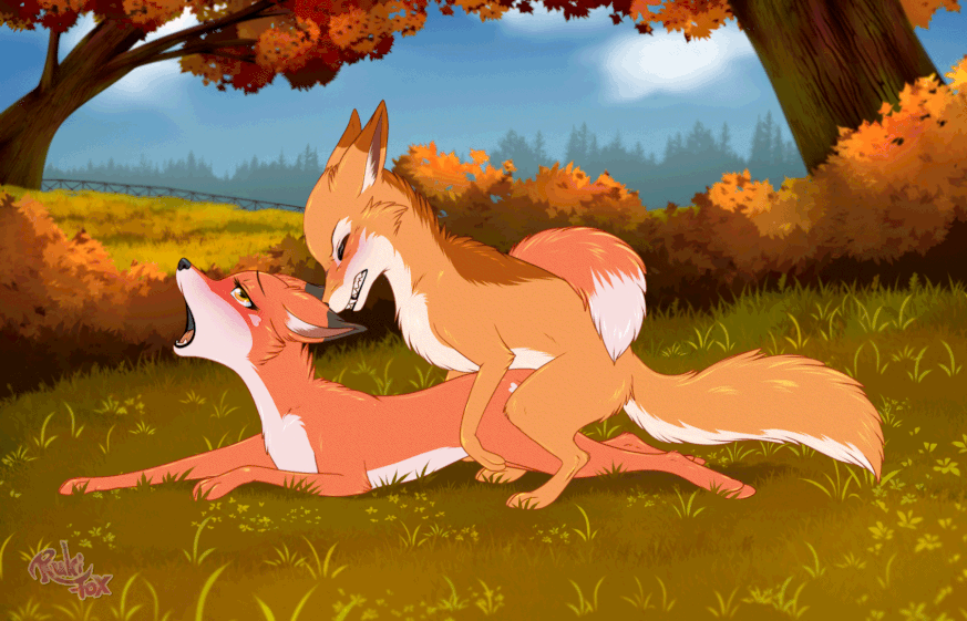 abby_(rukifox) animal_genitalia animal_penis animated autumn balls blush brown_body brown_fur canid canine canine_penis clenched_teeth detailed_background digital_media_(artwork) dipstick_ears dipstick_tail duo erection eyes_closed female female_penetrated feral forest fox fur genitals grass knot knot_fucking knotting leaf looking_pleasured male male/female male_penetrating mammal markings multicolored_ears nature open_mouth orange_body orange_fur outside penetration penis plant red_fox rick_(rukifox) romantic romantic_couple rukifox scar sex sheath short_playtime sky tail tail_markings teeth tongue tree vaginal white_body white_fur yellow_eyes