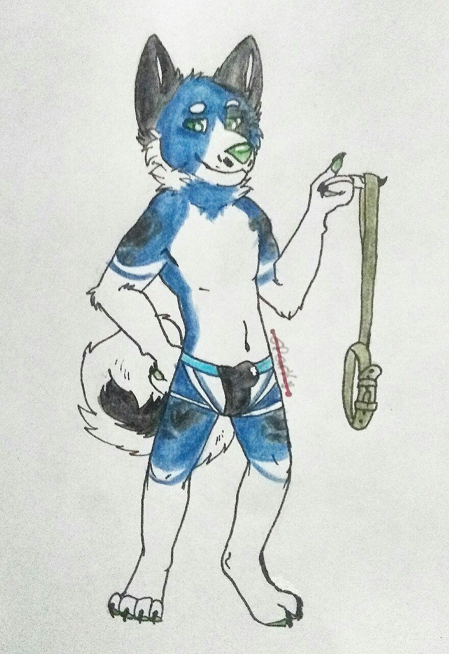 anthro bdsm biped black_body black_fur blue_body blue_fur bodily_fluids bottomwear bulge canid canine canis claws clothed clothing collar cum cum_in_clothing cum_in_underwear cum_on_bulge cum_through_clothing cum_through_underwear domestic_dog fur genital_fluids genitals green_eyes green_nose hair hi_res husky jockstrap jockstrap_only leash leash_and_collar looking_at_viewer male mammal nordic_sled_dog penis simple_background smile smirk solo spitz tempest_(drifty_wolf) underwear unknown_artist wet wet_clothing wet_underwear white_body white_fur