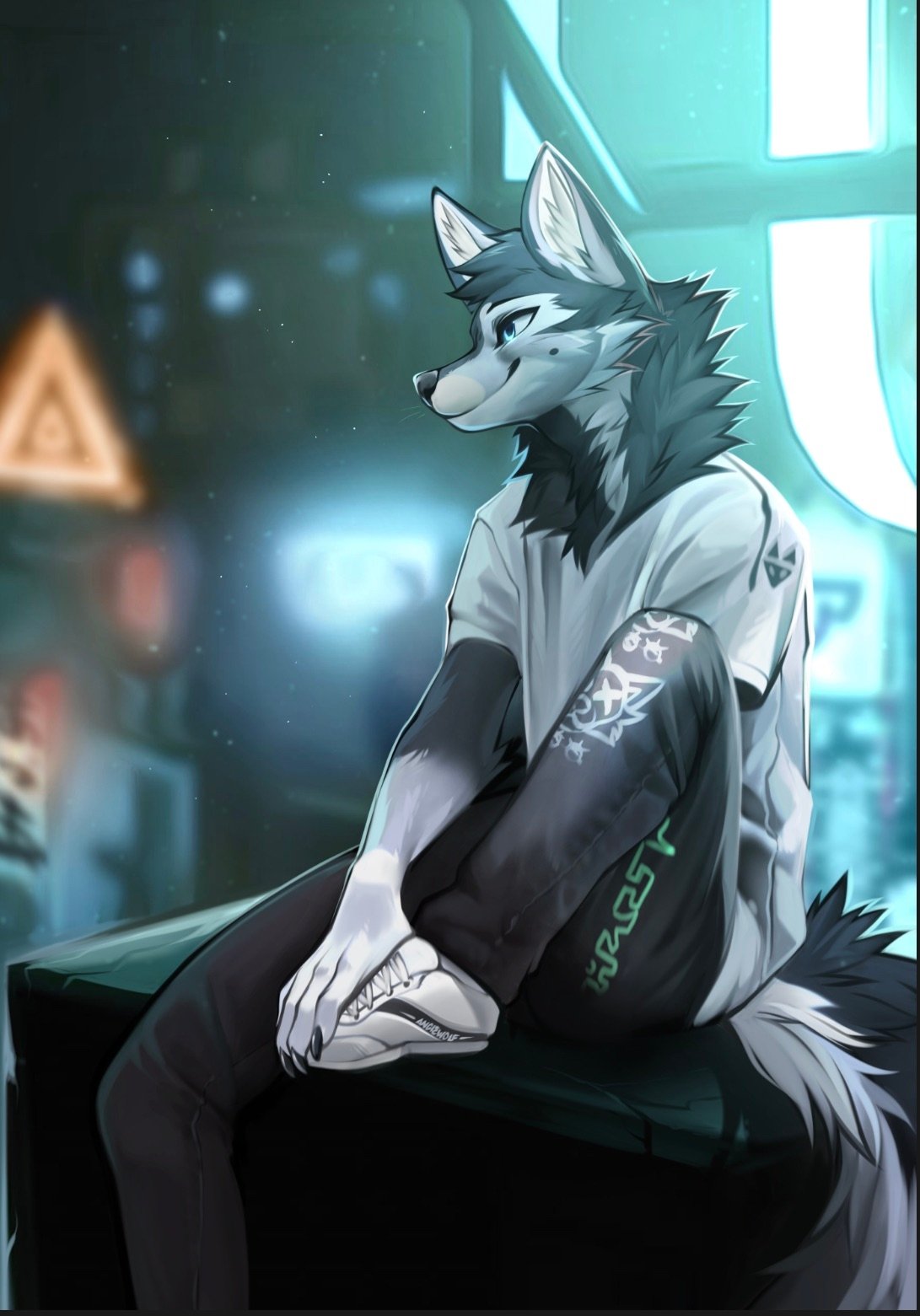 2022 angiewolf anthro bottomwear canid canine canis city clothing fur hi_res male mammal multicolored_body multicolored_fur night_sky outside pants plantigrade raised_leg shirt sitting smile solo topwear two_tone_body two_tone_fur wolf