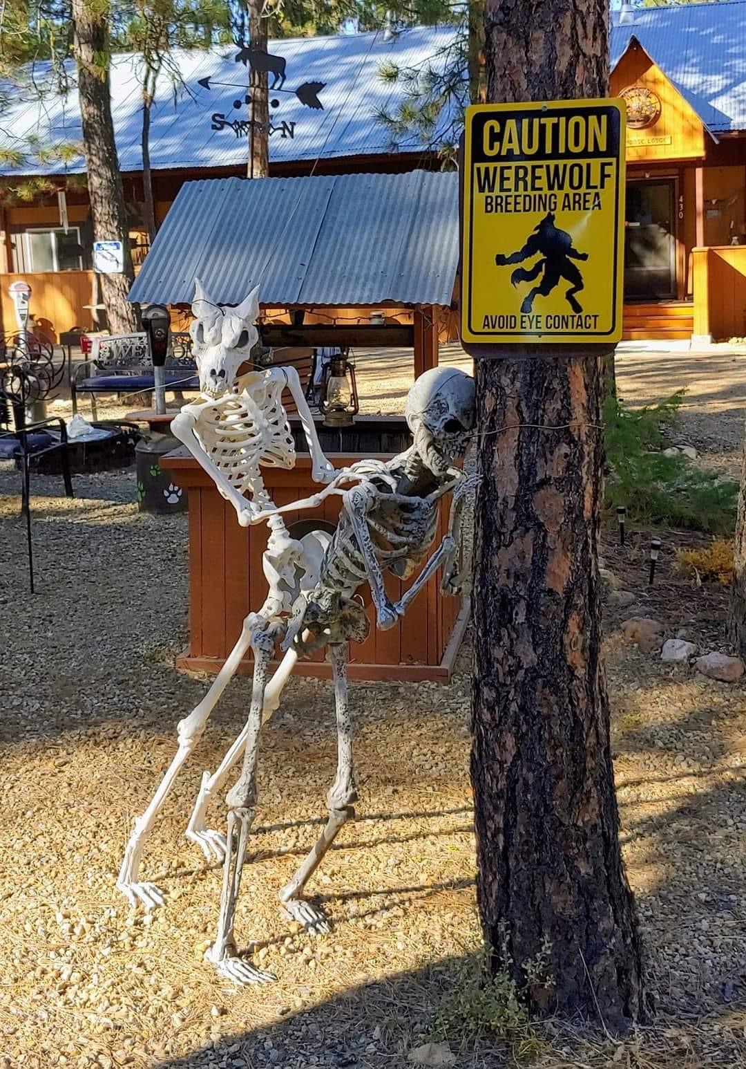 anthro bone canid canine caution_sign duo forced halloween halloween_decoration hi_res holidays humor male male/male mammal photography_(artwork) plant rape skeleton tree unknown_artist well were werecanid werecanine werewolf