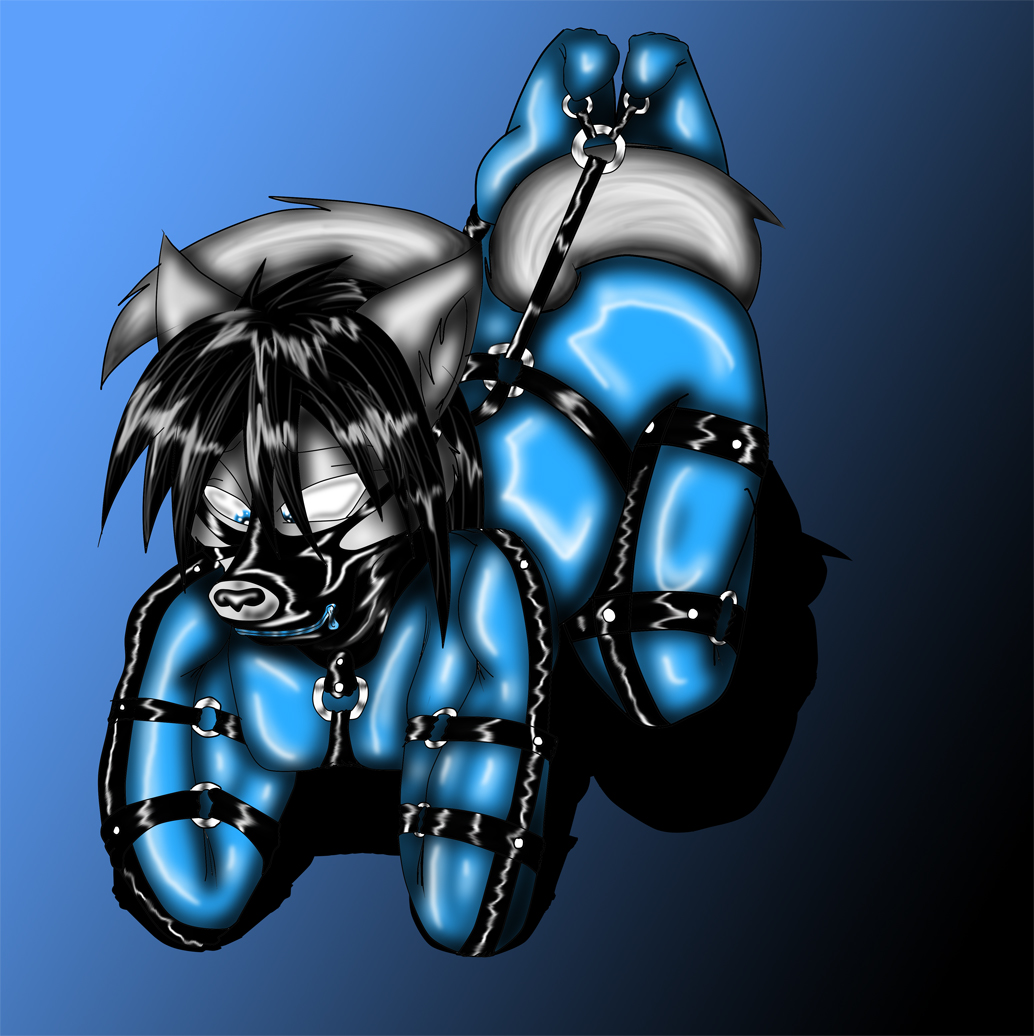 2009 akira666 all_fours anthro bdsm biped bitchsuit black_hair blue_background blue_eyes bondage bondage_gear bound canid canine canis hair mammal muzzle_(object) muzzled simple_background solo submissive submissive_anthro wolf