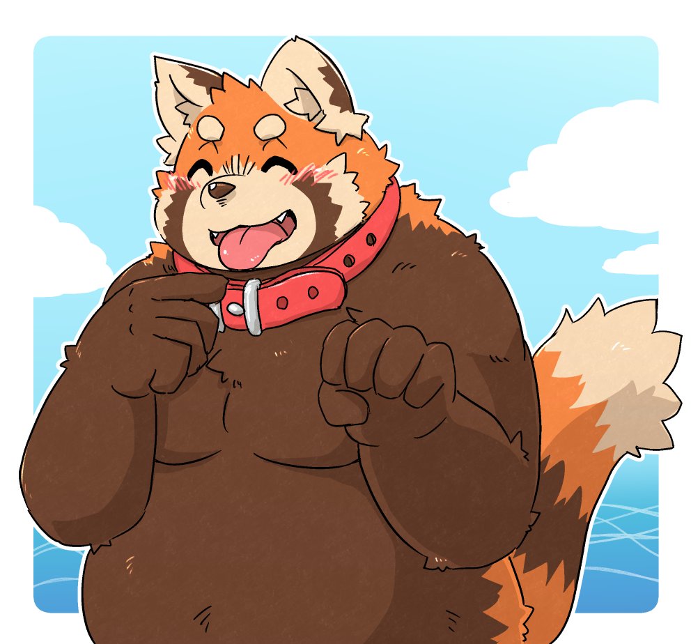 2022 ailurid anthro belly big_belly blush brown_body collar eyes_closed kemono kota&acute; male mammal moobs overweight overweight_male petplay red_panda roleplay solo tongue tongue_out