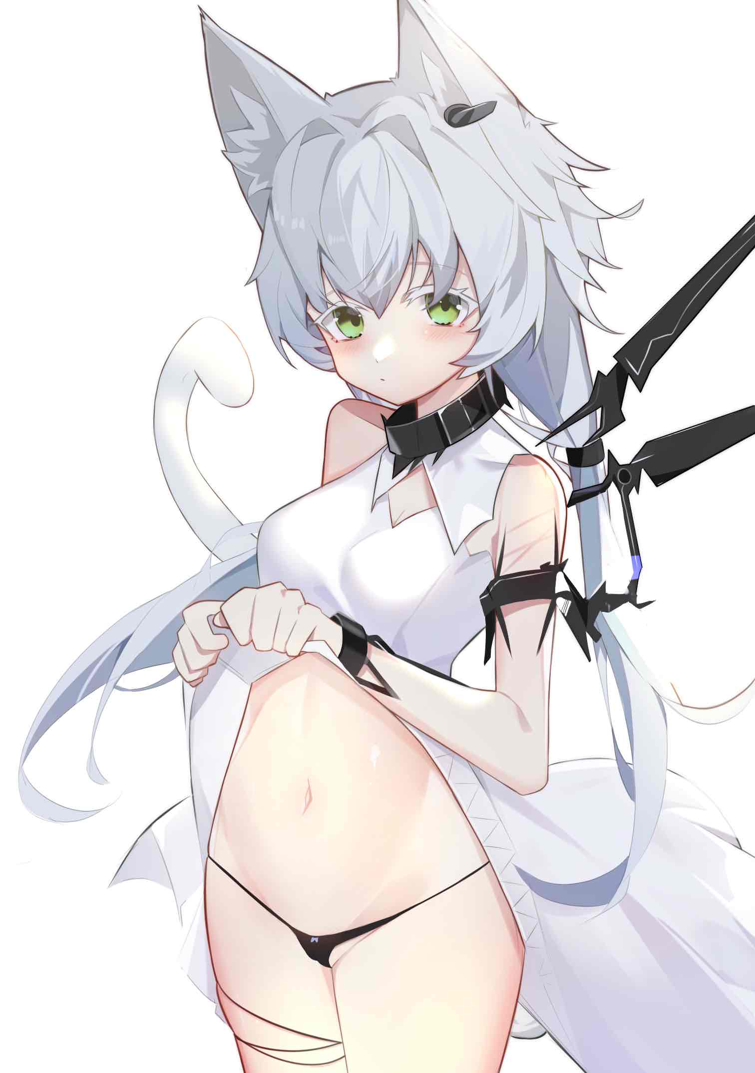 1girl animal_ear_fluff animal_ears arknights bare_shoulders black_collar black_panties blush breasts cameltoe cat_ears cat_girl cat_tail clothes_lift collar cowboy_shot dress dress_lift earpiece green_eyes grey_hair highres lifted_by_self looking_at_viewer micro_panties navel panties partially_visible_vulva rosmontis_(arknights) simple_background small_breasts solo tail twilight_(cgkk4357) underwear white_background white_dress