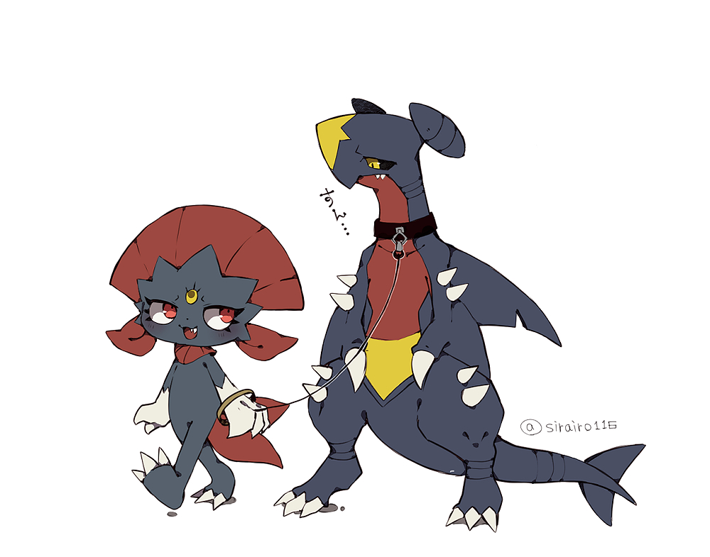1girl :3 animal_ears animal_feet animal_hands arms_at_sides artist_name black_sclera blush body_fur claws closed_mouth collar collarbone colored_sclera commentary_request dragon eye_contact fangs fangs_out flat_chest full_body furry furry_female garchomp grey_fur happy height_difference holding holding_leash leash looking_at_another looking_back looking_down looking_up multiple_tails open_mouth partial_commentary pet_play pokemon pokemon_(creature) red_eyes shira_(sirairo116) signature simple_background smile spikes standing tail translation_request twitter_username two_tails walking weavile white_background yellow_eyes