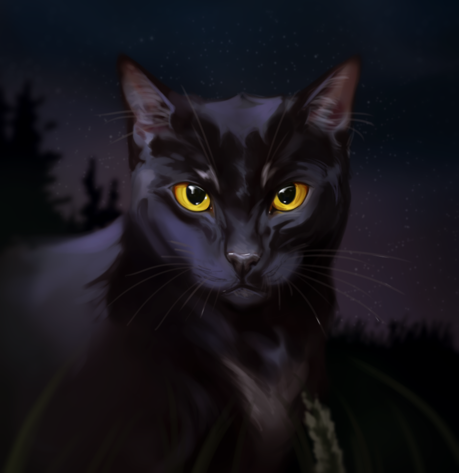 ambiguous_gender black_body black_fur black_nose blackscour domestic_cat felid feline felis feral fur glistening glistening_eyes grass looking_at_viewer mammal mouth_closed night outside plant red_inner_ear sky solo star tree whiskers yellow_eyes