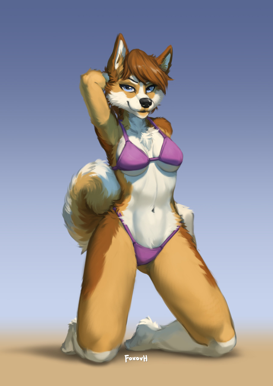 anthro bikini blue_eyes breasts brown_body brown_fur brown_hair canid canine canis chest_tuft clothing domestic_dog female foxovh fur hair hand_behind_head hi_res husky kneeling looking_at_viewer mammal navel nordic_sled_dog paws simple_background smile solo spitz swimwear tan_body tan_fur tuft white_body white_fur