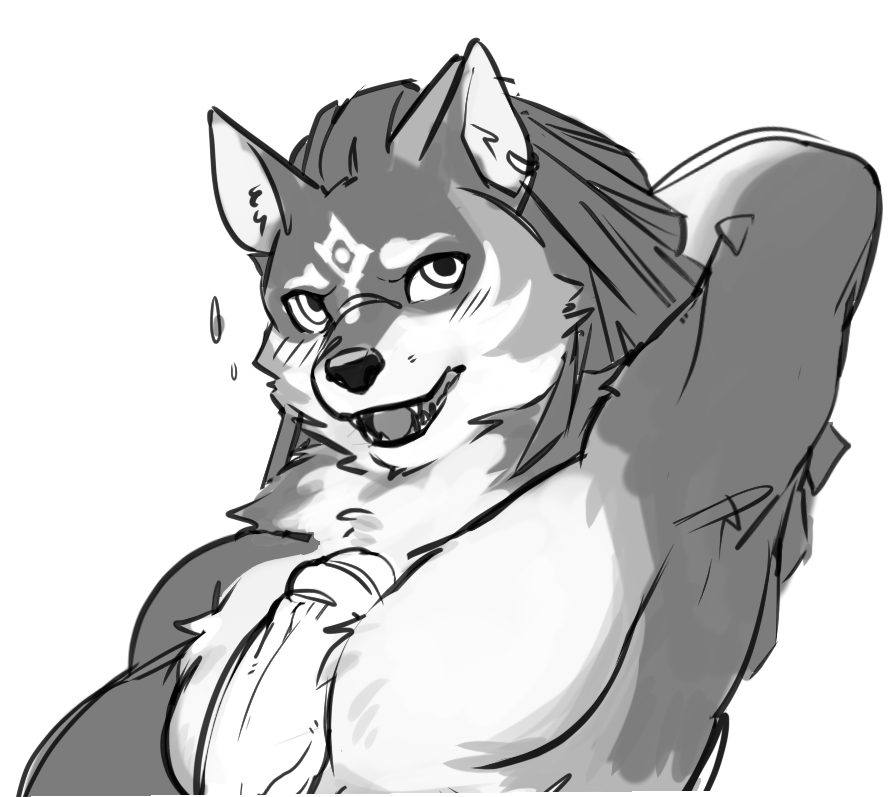 anthro chest_floof chest_fluffjob chest_fur chest_tuft genitals human human_on_anthro humanoid_genitalia humanoid_penis interspecies link_(wolf_form) looking_at_viewer male male/male mammal naizuri nintendo pecjob pecs penis sex the_legend_of_zelda tuft video_games