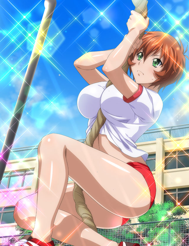 1girl bangs between_breasts blue_sky blush bob_cut breasts brown_hair buruma chinkyuu_koudai climbing closed_mouth day frown green_eyes gym_uniform hair_between_eyes ikkitousen large_breasts looking_up midriff outdoors red_buruma shiny shiny_hair shiny_skin shirt short_hair short_sleeves sky solo sparkle stomach sweatdrop white_shirt