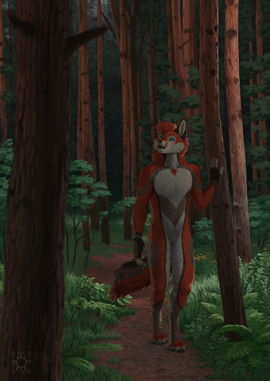 2022 4_toes 5_fingers anthro canid canine day detailed_background digital_media_(artwork) digitigrade feet fingers forest fox fur grass hair hi_res kero_tzuki male mammal outside plant red_body red_fur red_hair solo toes tree white_body white_fur