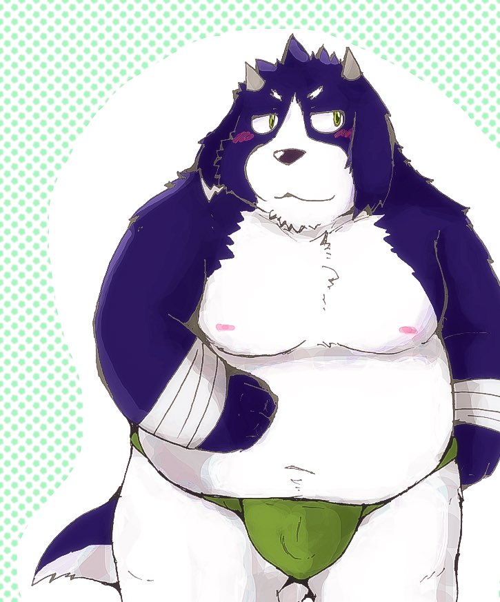 2022 anthro asian_clothing belly big_belly blush canid canine canis clothing domestic_dog east_asian_clothing fundoshi green_clothing green_fundoshi green_underwear japanese_clothing kemono male mammal moobs nipples overweight overweight_male snow_utamaru solo underwear