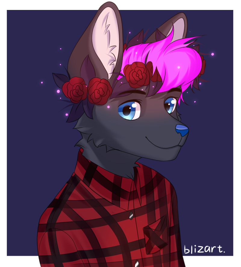 2019 anthro artist_name blue_eyes blue_nose border bust_portrait canid canine clothed clothing digital_media_(artwork) dress_shirt flower flower_crown fur grey_body grey_fur hair inner_ear_fluff looking_at_viewer male mammal pattern_clothing pattern_shirt pattern_topwear pink_hair plant portrait red_clothing red_shirt red_topwear shirt simple_background solo tealsick topwear tuft white_border