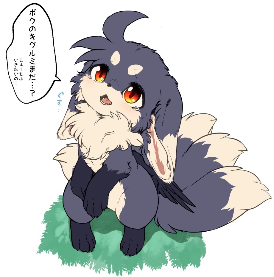 2020 canid canine dialogue dipstick_ears dipstick_tail ears_down feathered_wings feathers female feral fluffy fluffy_tail fox fur grey_body grey_fur high-angle_view ingi ingi_(character) inner_ear_fluff japanese_text kemono leg_markings looking_up mammal markings multi_tail multicolored_ears neck_tuft open_mouth pivoted_ears red_eyes simple_background socks_(marking) solo speech_bubble standing standing_on_hind_legs tail tail_markings text translated tuft white_background white_body white_fur wings