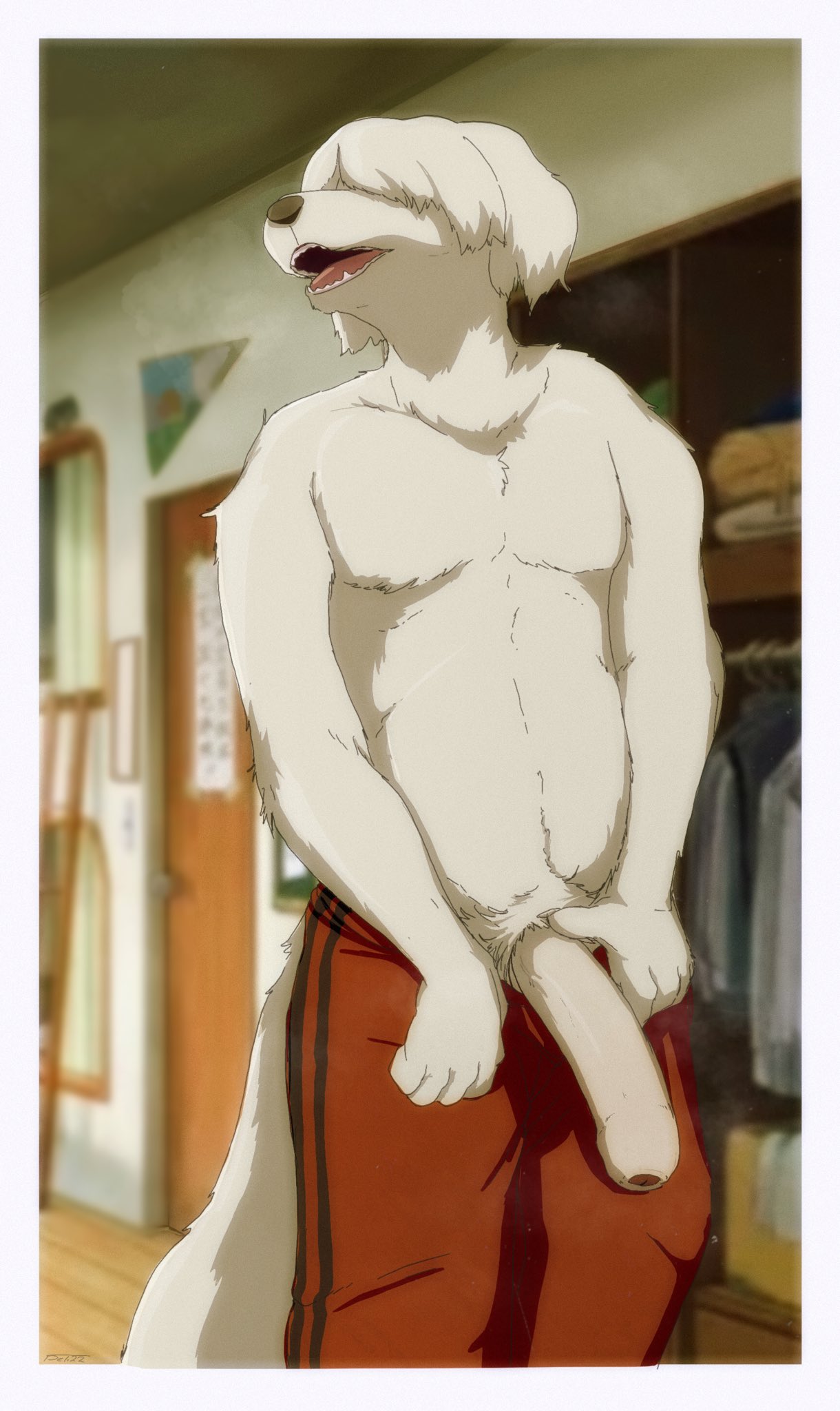 2022 anthro beastars big_penis biped bottomwear canid canine canis clothed clothing collot_(beastars) delirost digital_media_(artwork) domestic_dog foreskin fur genitals half-erect herding_dog hi_res humanoid_genitalia humanoid_penis inside male mammal old_english_sheepdog open_mouth pants pastoral_dog penis sheepdog solo standing teeth tongue topless