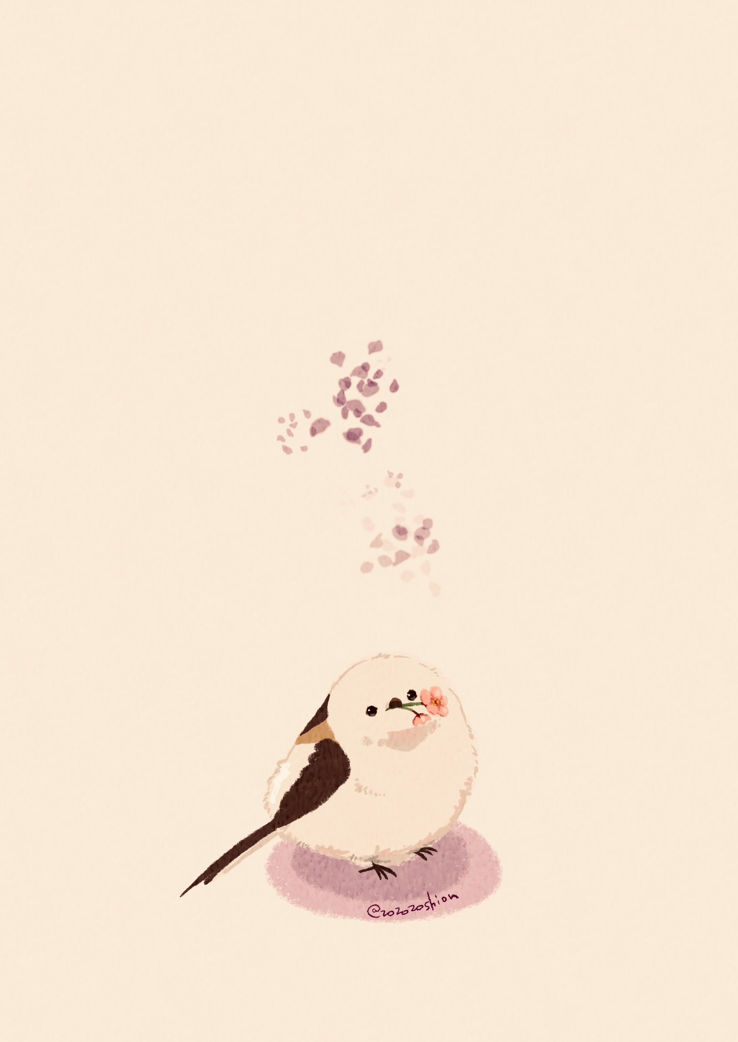 artist_name bird bird_tail cherry_blossoms commentary_request flower_in_mouth highres looking_at_viewer original simple_background tail twitter_username white_background white_fur zozozoshion