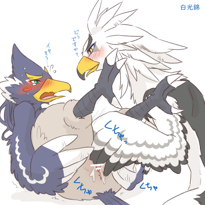 animal_genitalia anthro athletic athletic_anthro athletic_male avian beak blue_body blue_feathers blush breath_of_the_wild censored cloaca cloacal cloacal_fingering duo embarrassed feathers fingering genitals kusachi looking_pleasured male male/male nintendo nude revali rito sex talons teba_(tloz) text the_legend_of_zelda white_body white_feathers yellow_beak