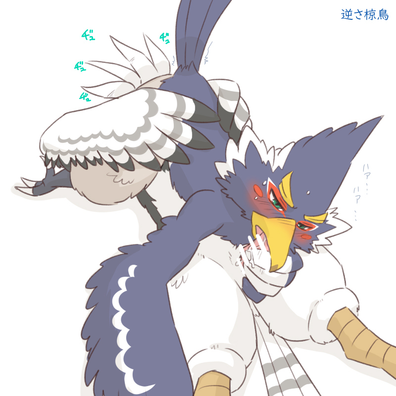 69_position anthro avian beak blue_body blue_feathers blush breath_of_the_wild duo feathers japanese_text kusachi looking_pleasured male male/male nintendo oral revali rito sex talons teba_(tloz) text the_legend_of_zelda white_body white_feathers yellow_beak