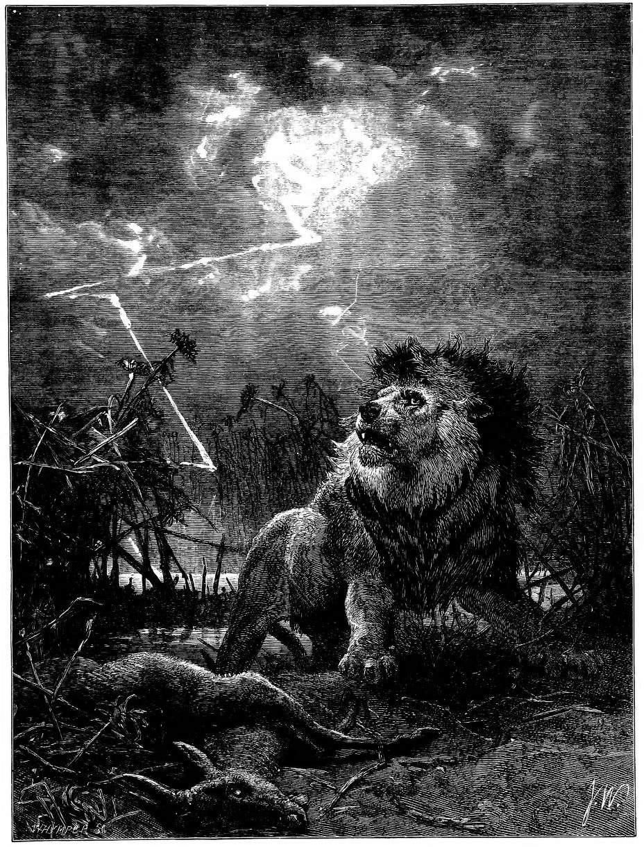 1874 19th_century ambiguous_gender ancient_art antelope black_and_white bovid death duo edward_whymper felid feral hi_res joseph_wolf lion male mammal monochrome outside pantherine public_domain scared storm the_life_and_habits_of_wild_animals