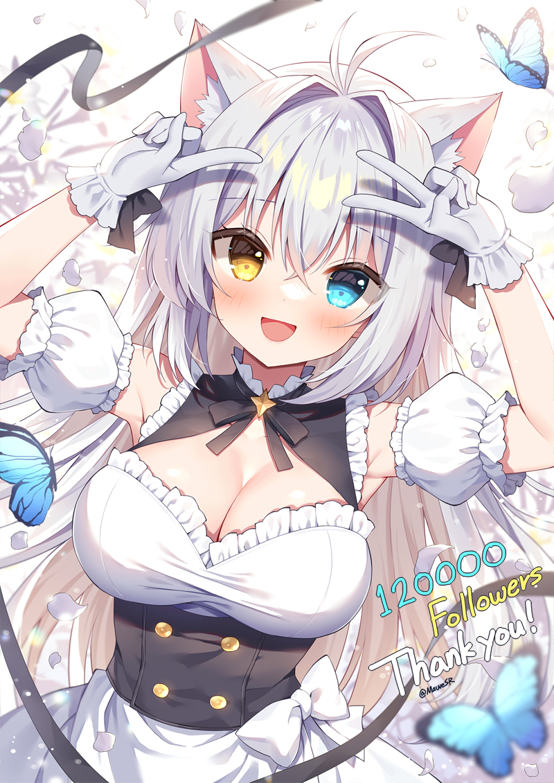 1girl :d aina_rive animal animal_ear_fluff animal_ears antenna_hair arms_up bangs blue_eyes breasts bug butterfly cat_ears cleavage commentary_request detached_sleeves double_v dress gloves grey_hair hair_between_eyes hair_intakes heterochromia long_hair looking_at_viewer mauve medium_breasts milestone_celebration original puffy_short_sleeves puffy_sleeves short_sleeves smile solo thank_you twitter_username v very_long_hair white_dress white_gloves white_sleeves yellow_eyes